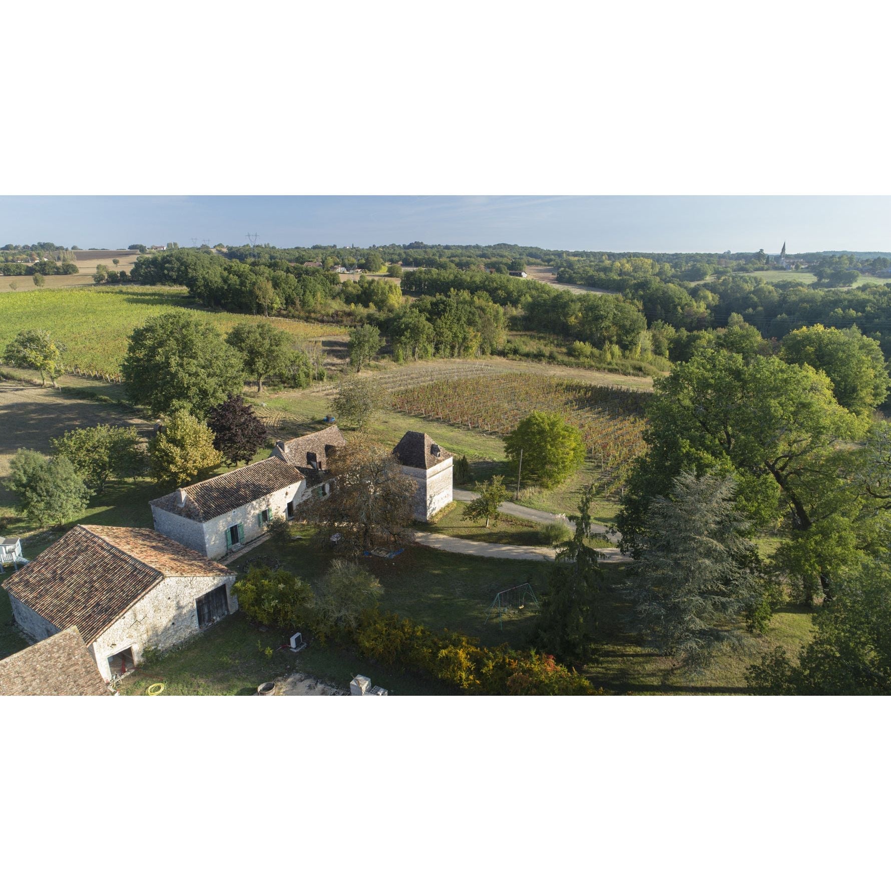 Le Clos du Breil 2021, White Bergerac - www.absoluteorganicwine.com