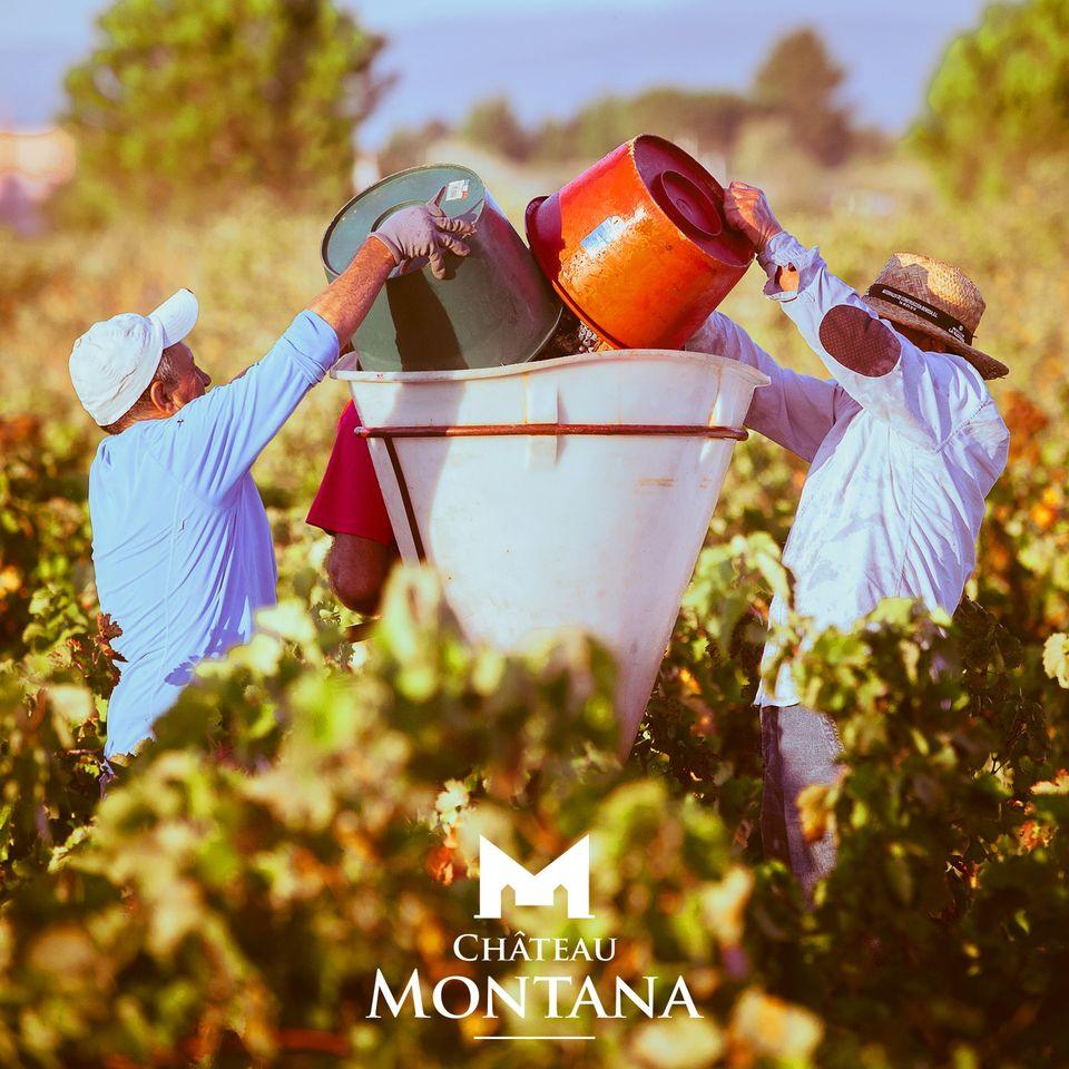 L' Astre Rouge (The Red Star) Chateau Montana 2021 www