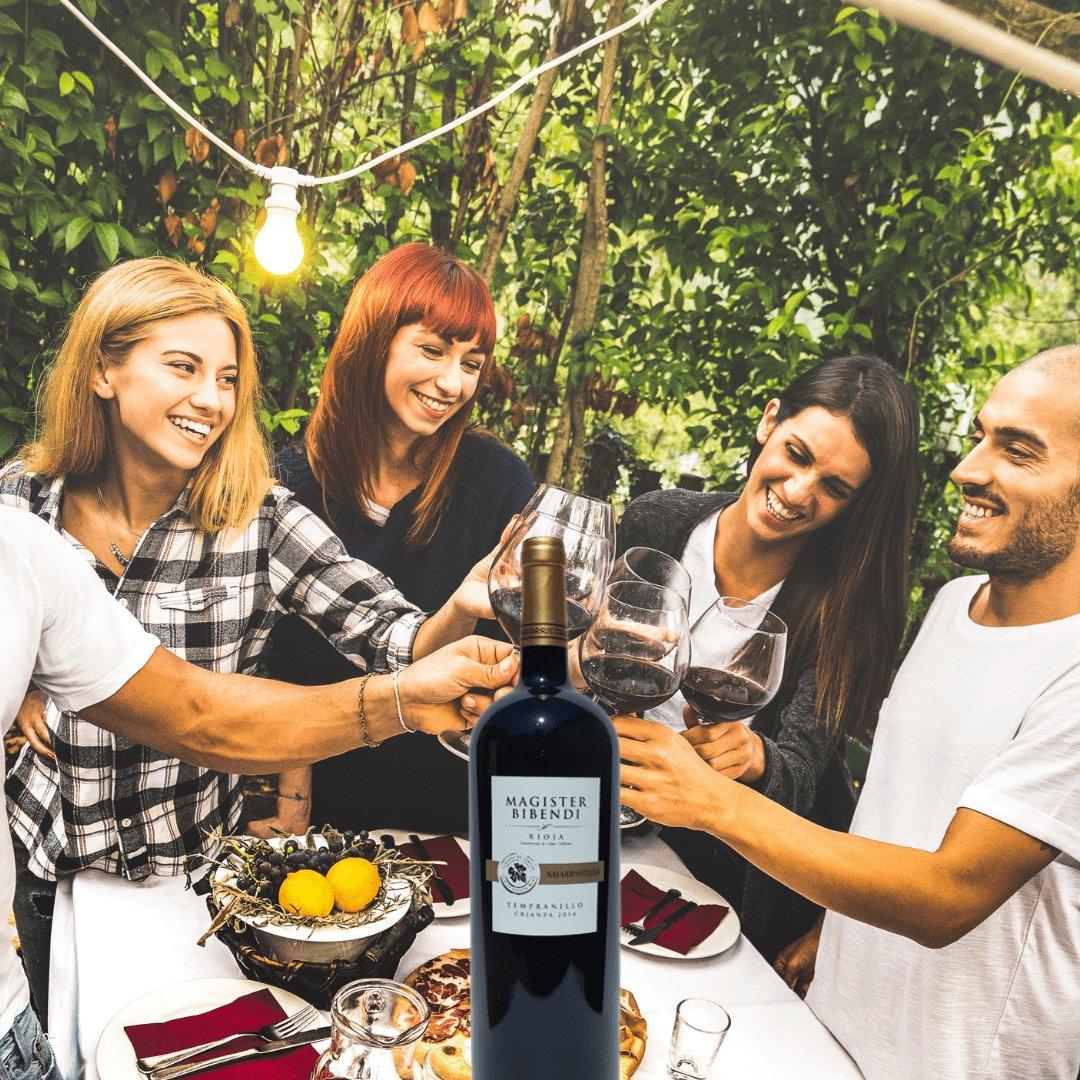 Navarrsotillo Rioja Crianza Organic 1.5L Magnum 2017 - www.absoluteorganicwine.com