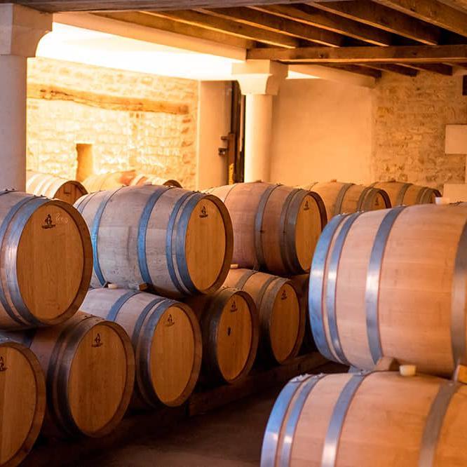 Pinot Noir, Domaine Langlois 2022 - www.absoluteorganicwine.com